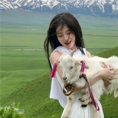 天鹅绒之手